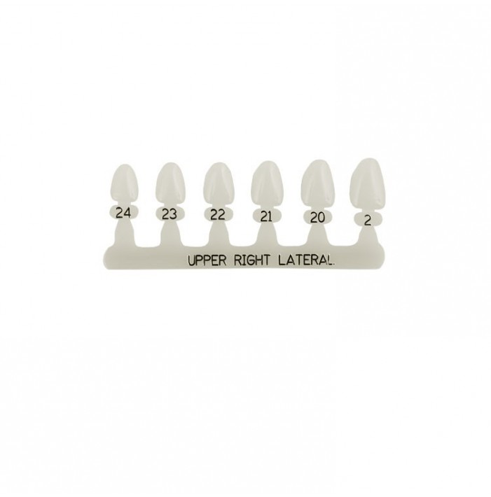 Polycarbonate temporary crowns upper lateral incisors right (Pack of 5 pieces)