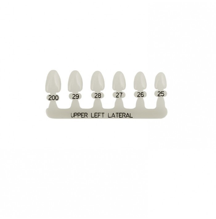 Polycarbonate temporary crowns upper lateral incisors left (Pack of 5 pieces)