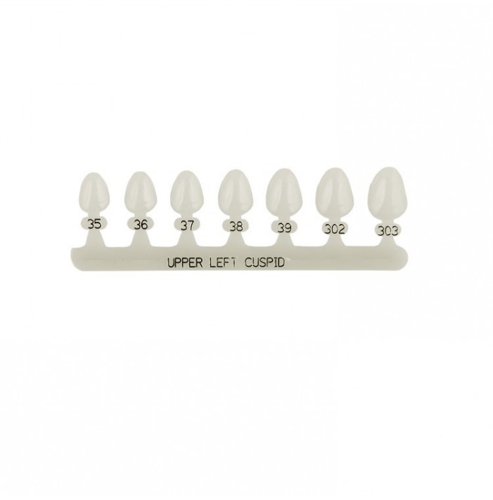 Polycarbonate temporary crowns upper canines left (Pack of 5 pieces)