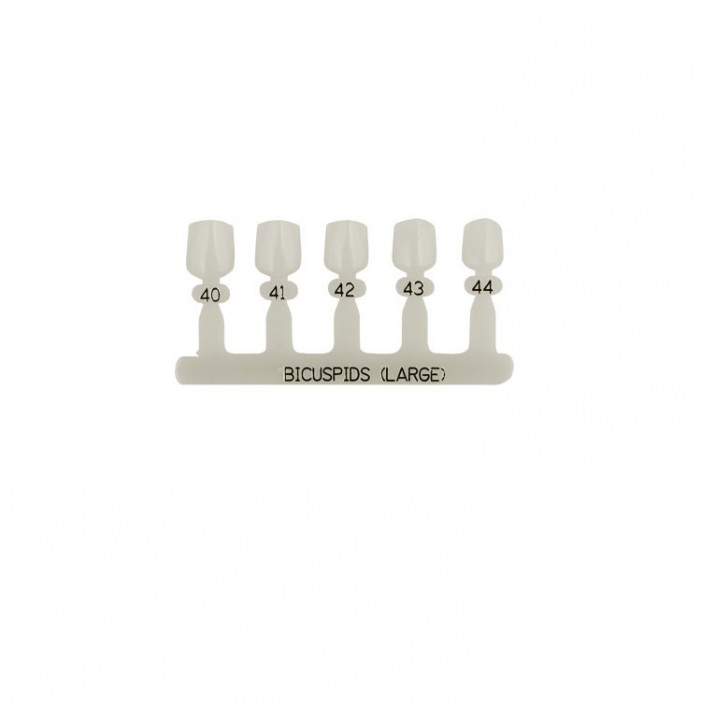 Polycarbonate temporary crowns upper premolars (Pack of 5 pieces)
