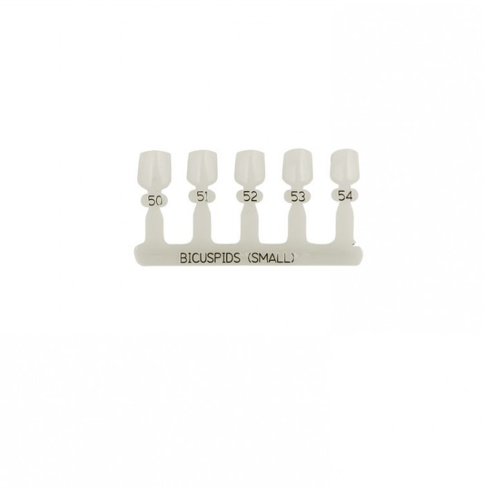 Polycarbonate temporary crowns lower premolars (Pack of 5 pieces)