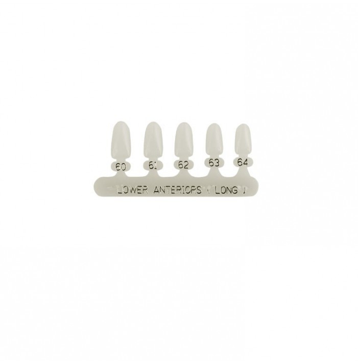 Polycarbonate temporary crowns lower incisors long (Pack of 5 pieces)