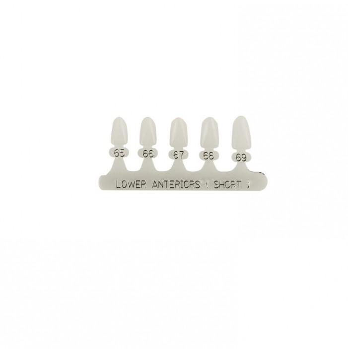 Polycarbonate temporary crowns lower incisors short (Pack of 5 pieces)