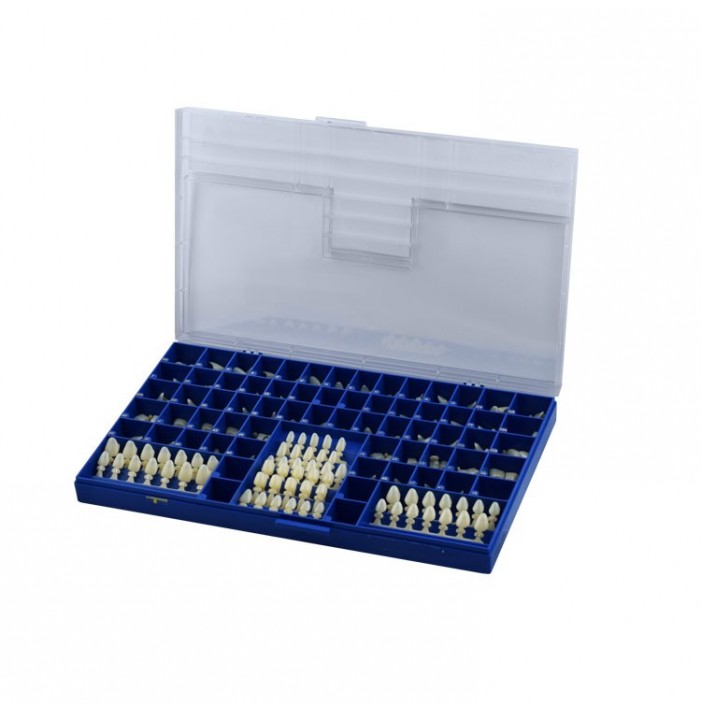Polycarbonate temporary crowns kit with mould guide 3 x 60 pcs