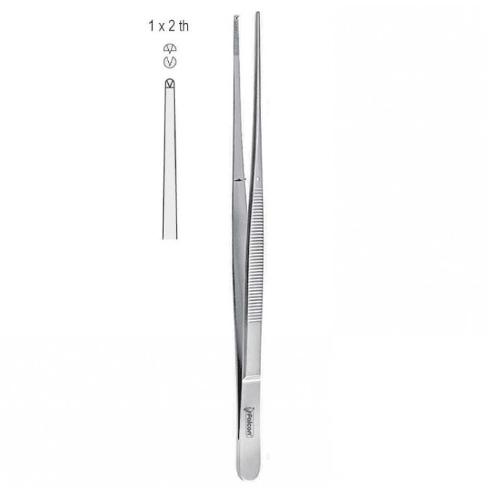Forceps tissue Taylor 1x2th straight 170mm