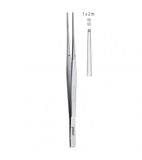 Forceps tissue Taylor 1x2th wedge end straight 170mm