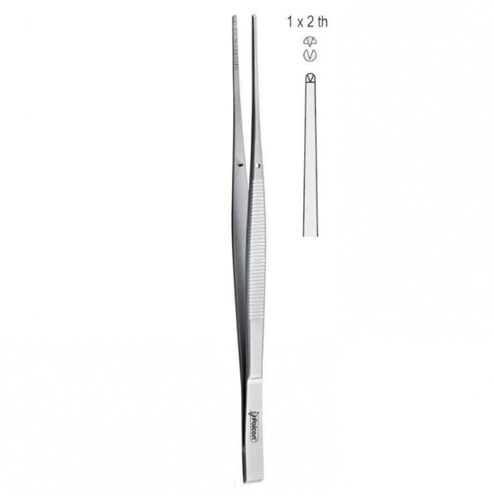 Forceps tissue Taylor 1x2th wedge end straight 170mm
