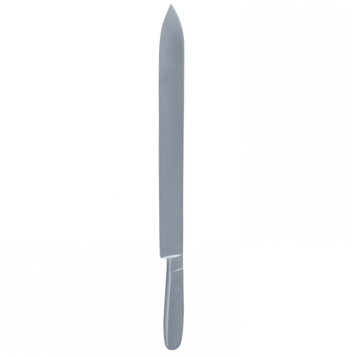 Post mortem organ knife 250mm blade