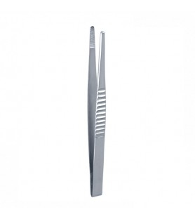 Forceps dissecting TOE (English pattern) serrated 250mm