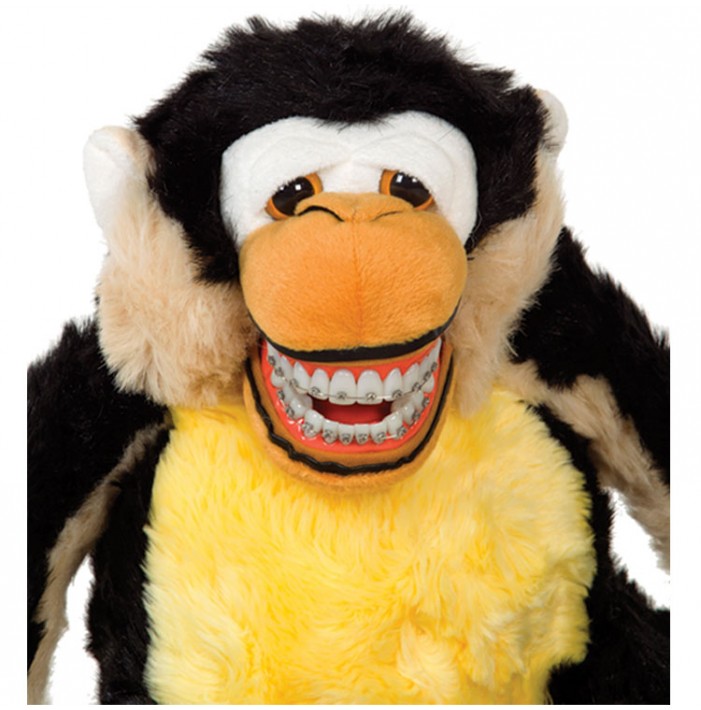 Star-Smilez Orthodontic Mojo Monkey