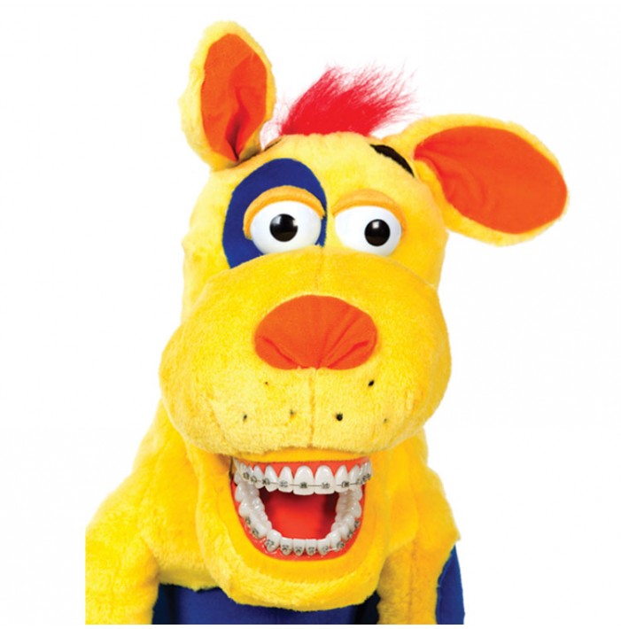 Star-Smilez Pluszak-Pies duży z zamkami orto