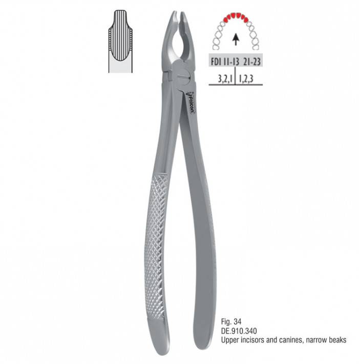 Atramatic extraction forceps notched beaks fig. 34