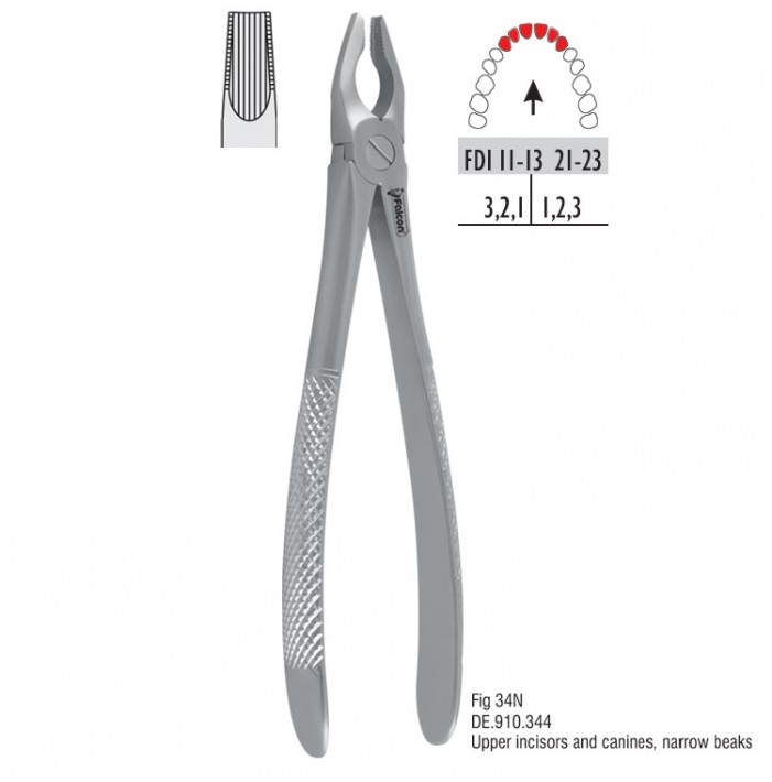Atramatic extraction forceps tapered beaks fig. 34N