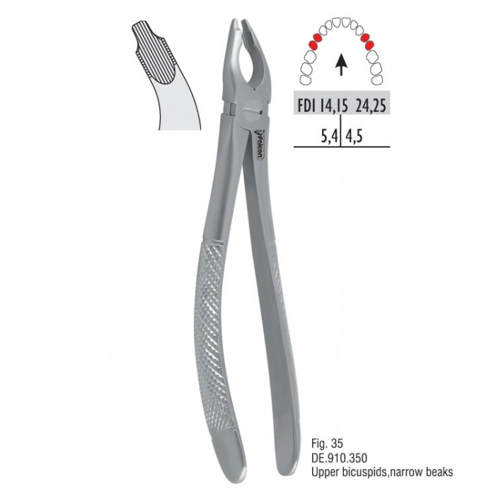 Atramatic extraction forceps notched beaks fig. 35