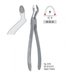 Atramatic extraction forceps tapered beaks fig. 67N
