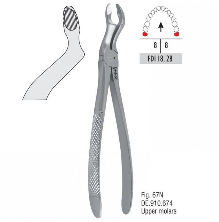Atramatic extraction forceps tapered beaks fig. 67N