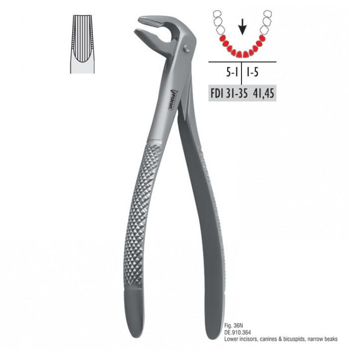 Atramatic extraction forceps tapered beaks fig. 36N