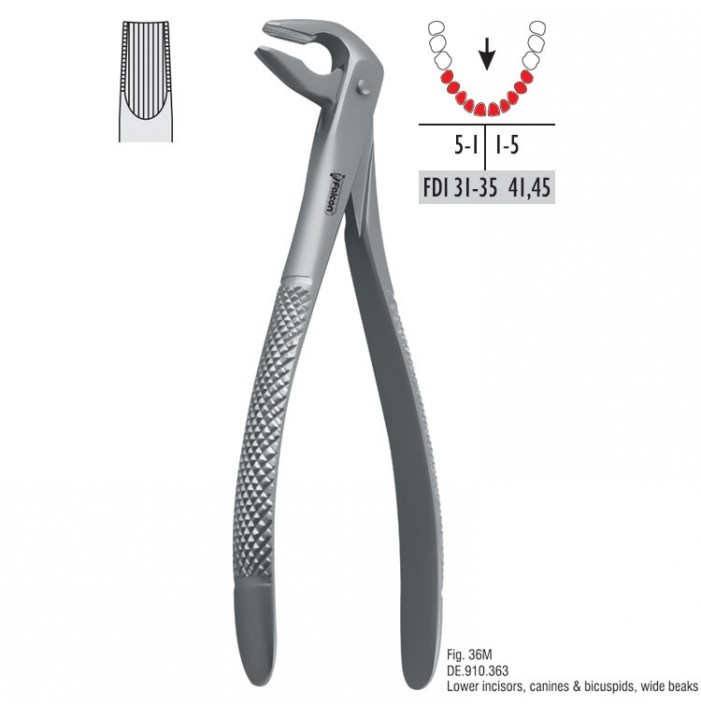 Atramatic extraction forceps tapered beaks fig. 36M