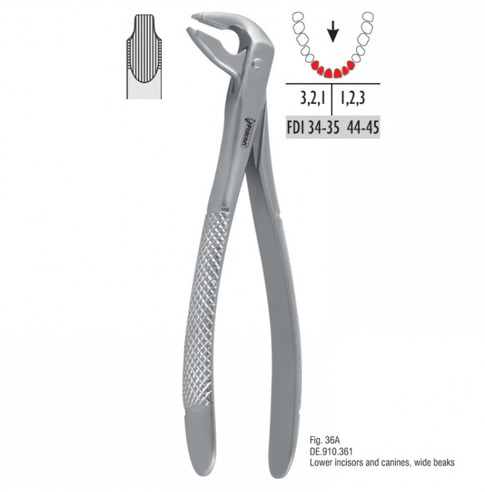Atramatic extraction forceps notched beaks fig. 36A