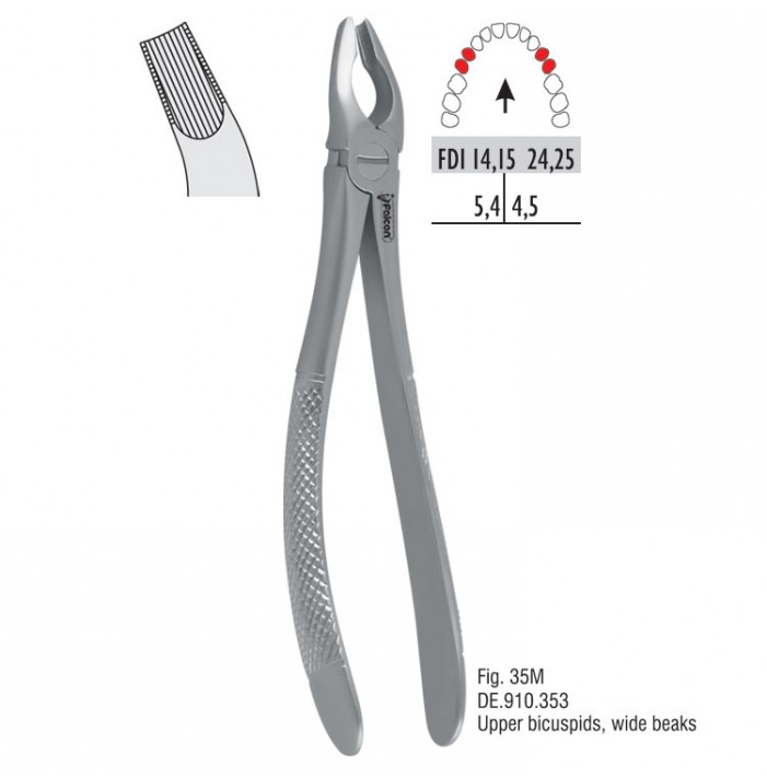 Atramatic extraction forceps tapered beaks fig. 35M