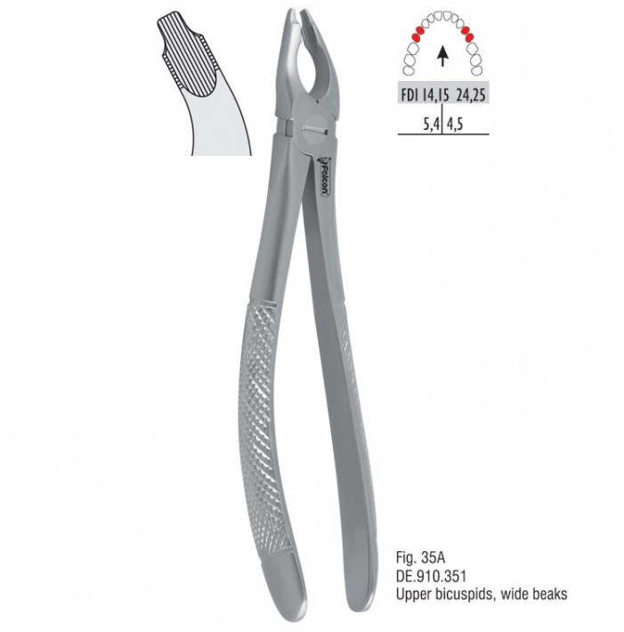 Atramatic extraction forceps notched beaks fig. 35A
