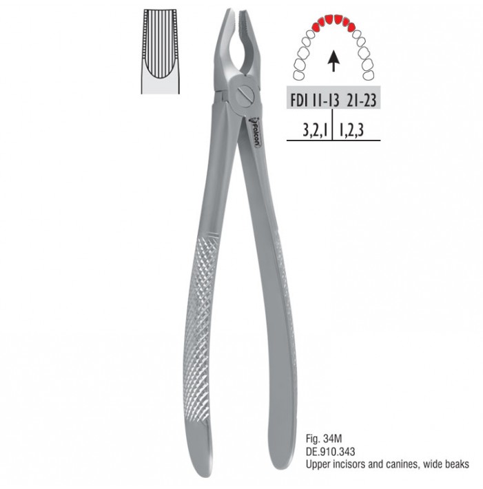 Atramatic extraction forceps tapered beaks fig. 34M