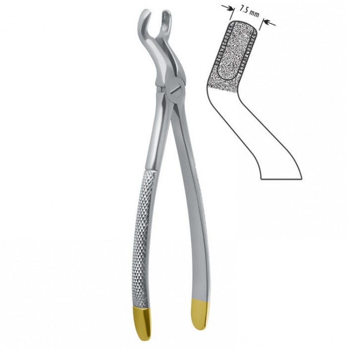 Diamond-Grip Extracting forceps European pattern fig. 67A