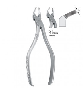 Extracting forceps Meissner...