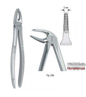 Extracting forceps European pattern fig. 33M