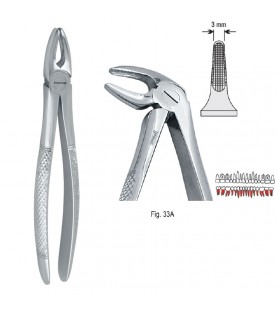 Extracting forceps European pattern fig. 33A