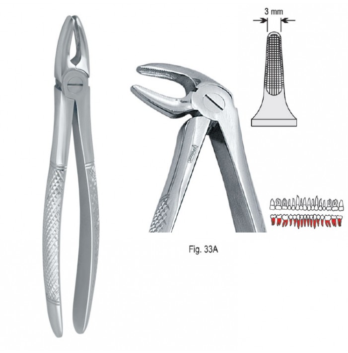 Extracting forceps European pattern fig. 33A