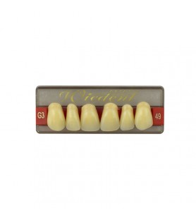 Estetic zęby akrylowe przednie górne fason 49, kolor G3, 6 szt.