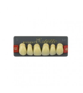 Estetic zęby akrylowe przednie górne fason 49, kolor G2, 6 szt.