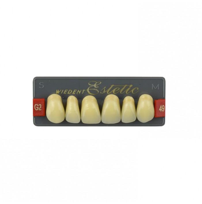Estetic zęby akrylowe przednie górne fason 49, kolor G2, 6 szt.