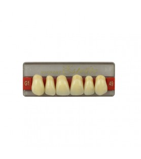 Estetic zęby akrylowe przednie górne fason 49, kolor G1, 6 szt.
