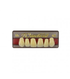 Estetic zęby akrylowe przednie górne fason 48, kolor R5, 6 szt.