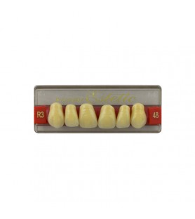 Estetic zęby akrylowe przednie górne fason 48, kolor R3, 6 szt.