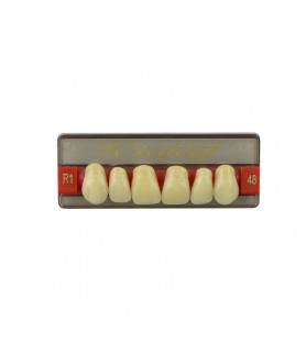 Estetic zęby akrylowe przednie górne fason 48, kolor R1, 6 szt.