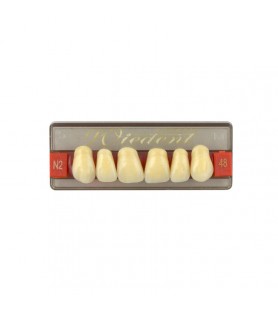 Estetic zęby akrylowe przednie górne fason 48, kolor N2, 6 szt.