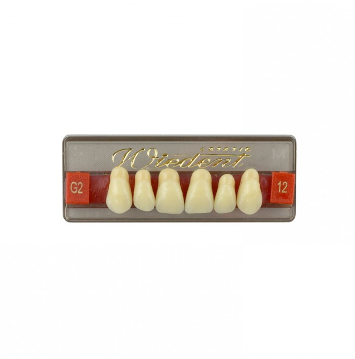 Estetic zęby akrylowe przednie górne fason 12, kolor G2, 6 szt.