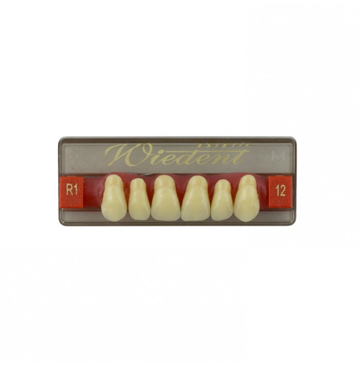 Estetic zęby akrylowe przednie górne fason 12, kolor R1, 6 szt.