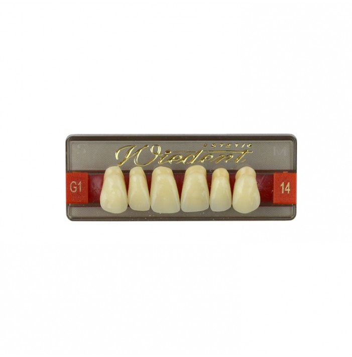 Estetic zęby akrylowe przednie górne fason 14, kolor G1, 6 szt.