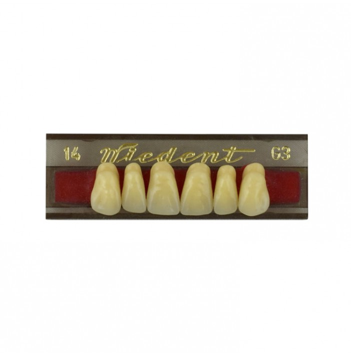 Estetic zęby akrylowe przednie górne fason 14, kolor G3, 6 szt.