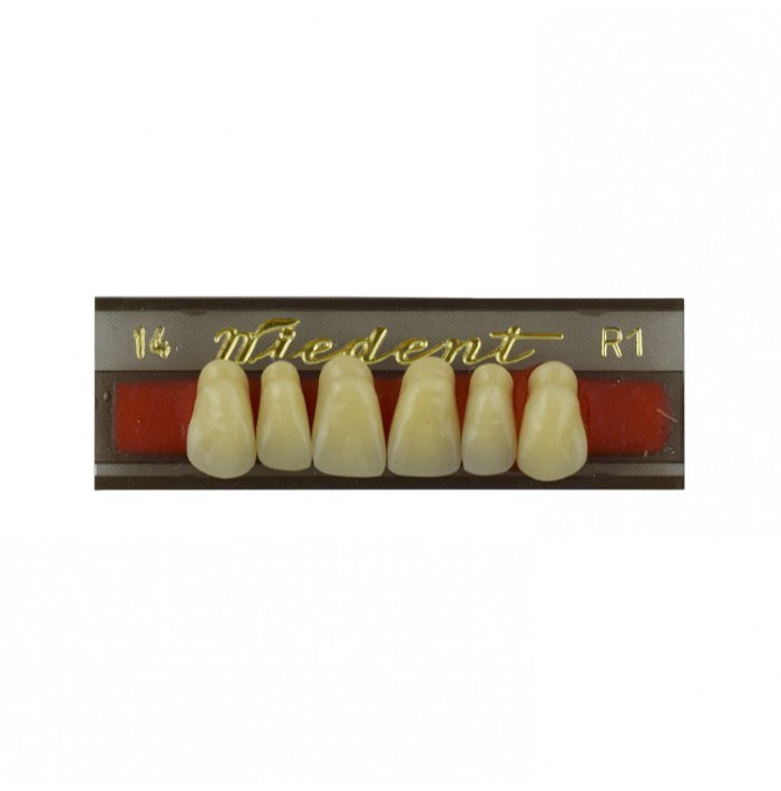 Estetic zęby akrylowe przednie górne fason 14, kolor R1, 6 szt.