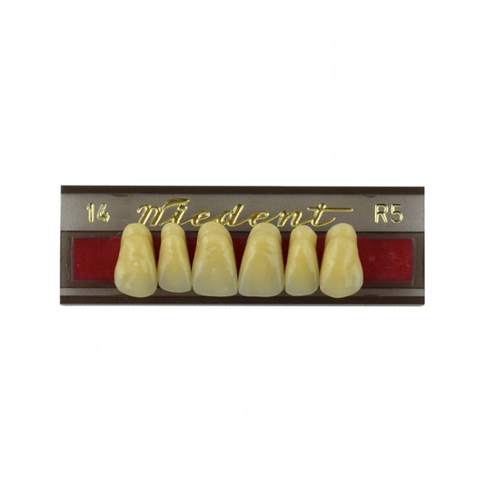 Estetic zęby akrylowe przednie górne fason 14, kolor R5, 6 szt.