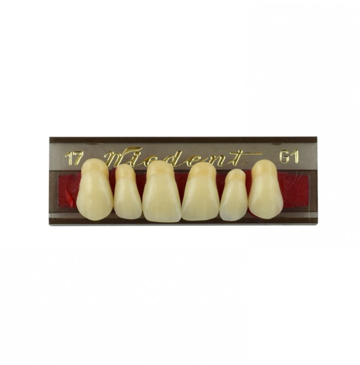 Estetic zęby akrylowe przednie górne fason 17, kolor G1, 6 szt.