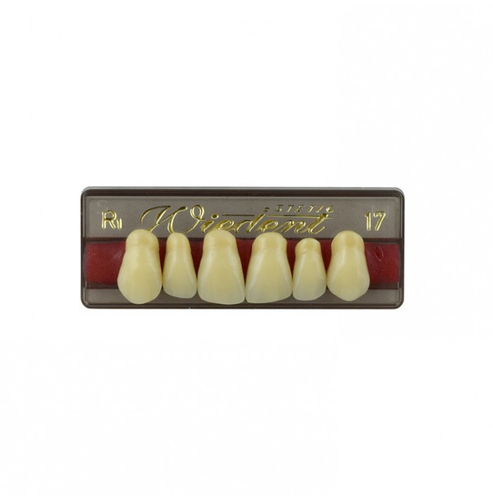 Estetic zęby akrylowe przednie górne fason 17, kolor R1, 6 szt.