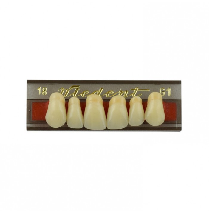 Estetic zęby akrylowe przednie górne fason 18, kolor G1, 6 szt.