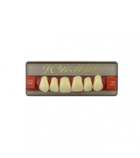Estetic zęby akrylowe przednie górne fason 20, kolor G2, 6 szt.
