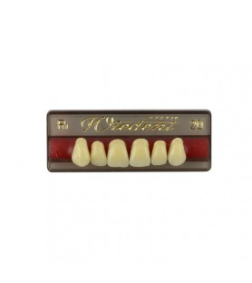 Estetic zęby akrylowe przednie górne fason 20, kolor R1, 6 szt.